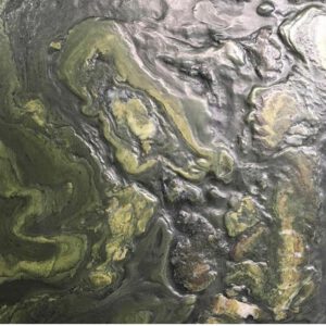 گرانیت سبز آبرنگی